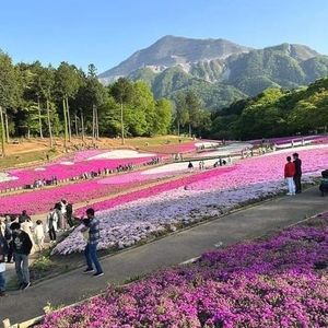 Meet your Posher, Daisy m